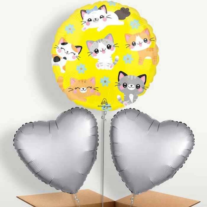 BOX4791701-3BALLOONS-FeatureTop_2_83a86879-3bdb-4d0e-908f-43762adb7d97