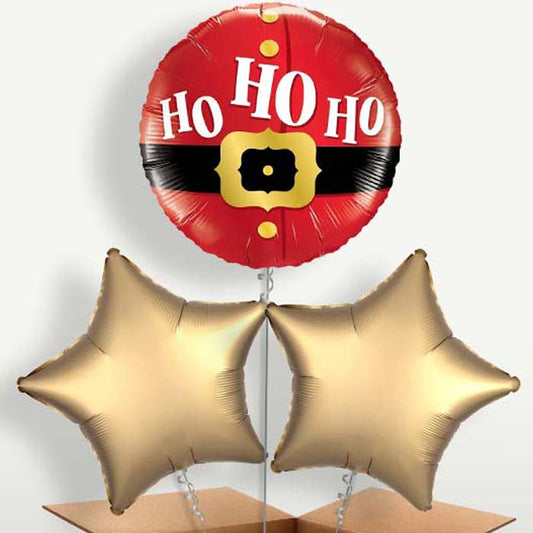 Santa Ho Ho Ho Helium Bunch of Balloons | Small Indoor Plants