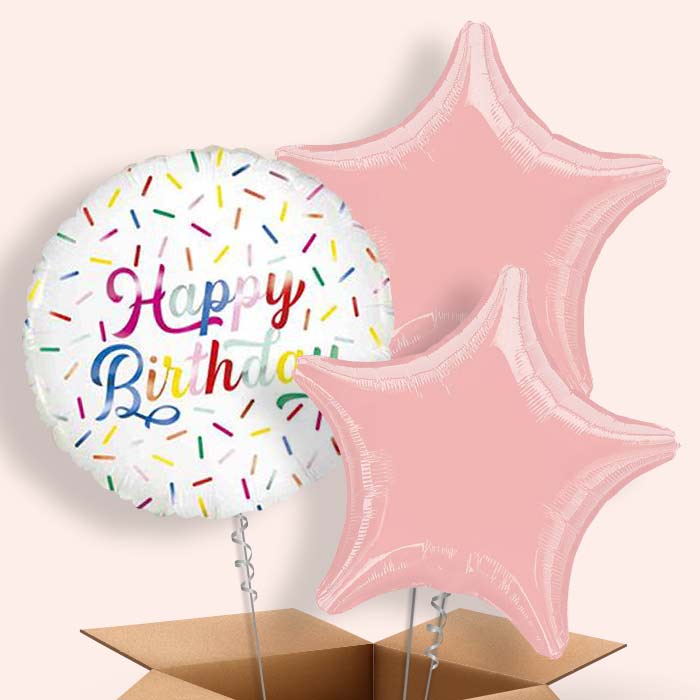 Sprinkle Balloon in a Box - Happy Birthday - 3 Balloon | Small Indoor Plants