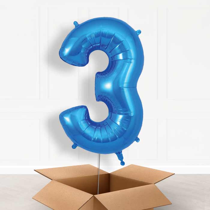 Blue Number 3 Balloon in a Box - Giant Number | Small Indoor Plants