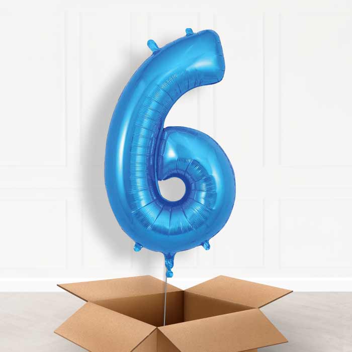 Blue Number 6 Balloon in a Box - Giant Number | Small Indoor Plants