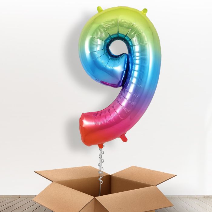 Number 9 Balloon in a Box - Rainbow - Giant Number | Small Indoor Plants