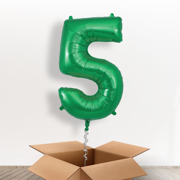 Green Number 5 Balloon in a Box - Giant Number | Small Indoor Plants