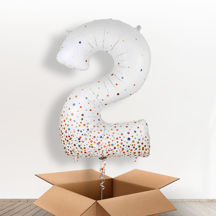 Rose Gold and White Number 2 Balloon in a Box - Giant Number | Small Indoor Plants