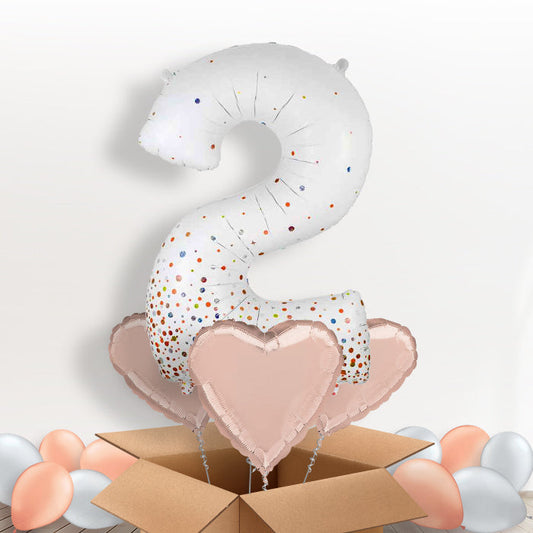 Rose Gold and White Number 2 Balloon in a Box - Package | Small Indoor Plants