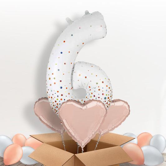 Rose Gold and White Number 6 Balloon in a Box - Package | Small Indoor Plants