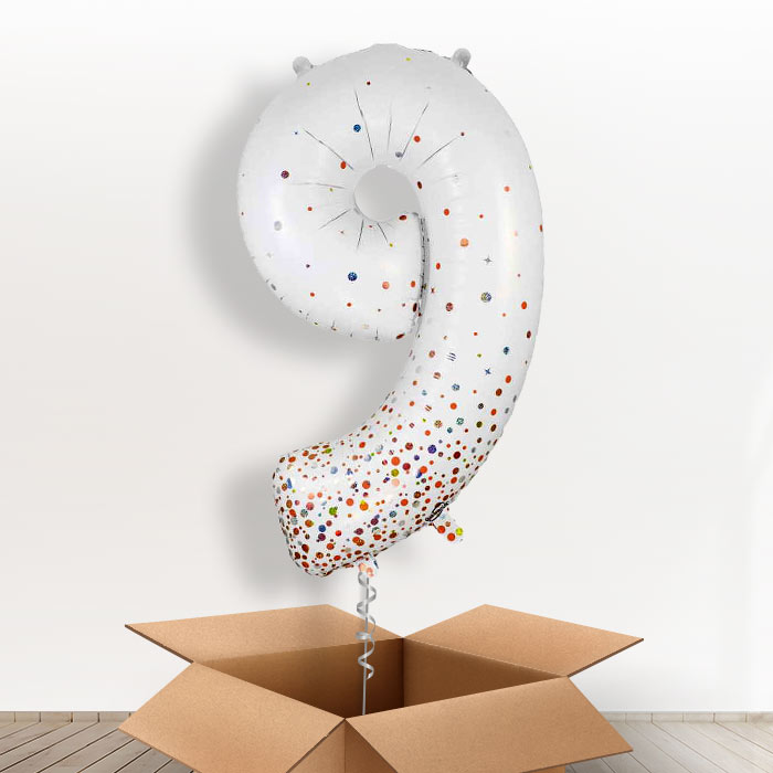 Rose Gold and White Number 9 Balloon in a Box - Giant Number | Small Indoor Plants