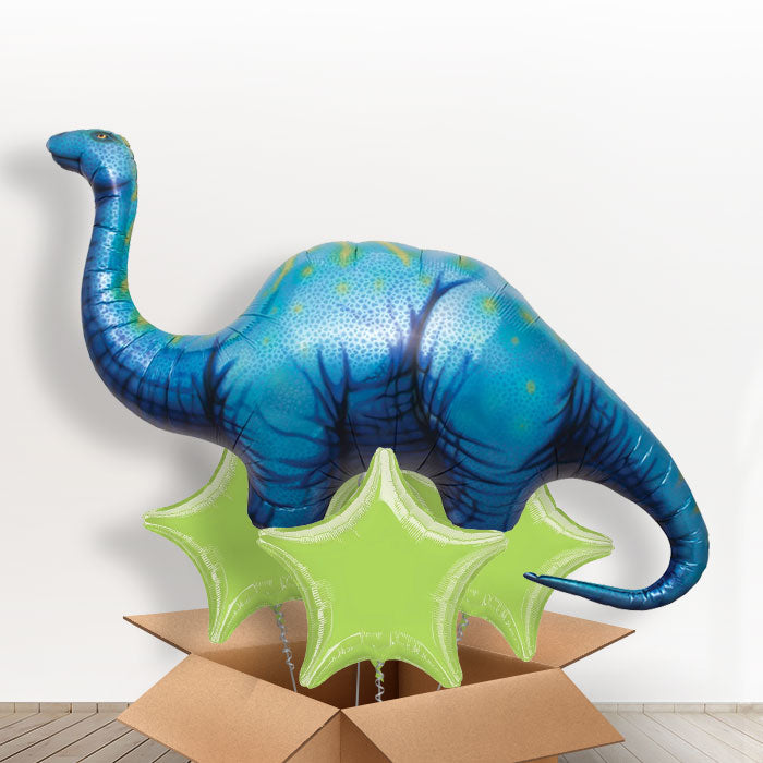 Apatosaurus Balloon Dinosaur in a Box Gift - With 3 Plain Balloons | Small Indoor Plants