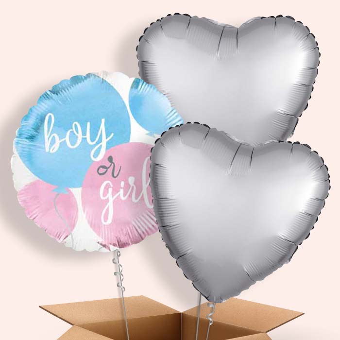 Boy or Girl Gender Reveal Balloons in a Box - 3 Balloon | Small Indoor Plants