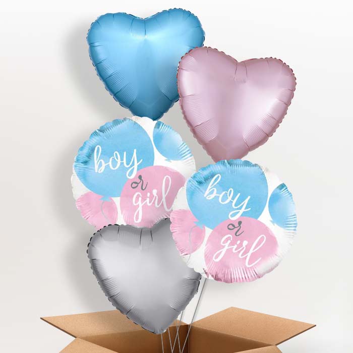 Boy or Girl Gender Reveal Balloons in a Box - 5 Balloon | Small Indoor Plants