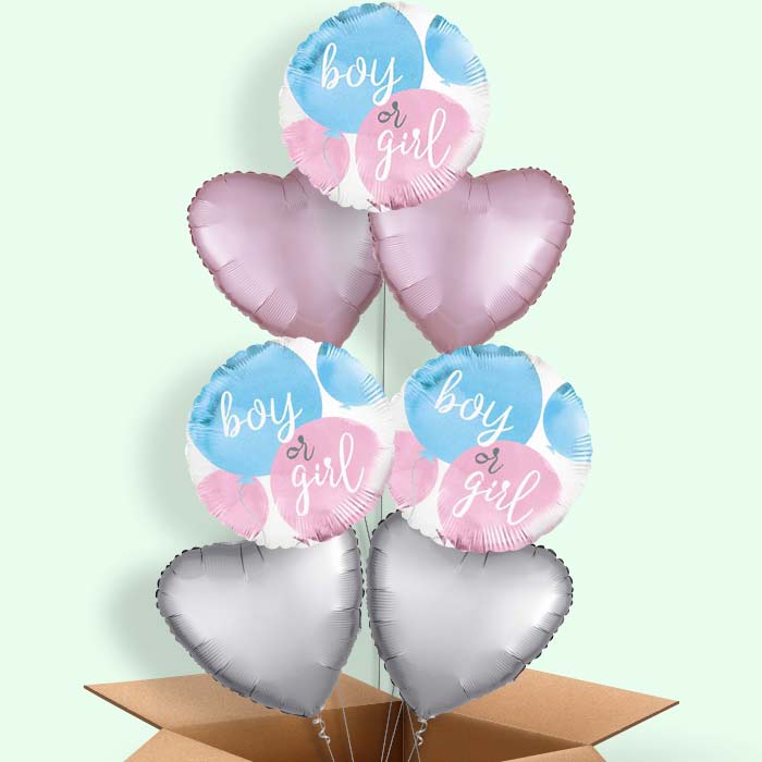 Boy or Girl Gender Reveal Balloons in a Box - 7 Balloon | Small Indoor Plants