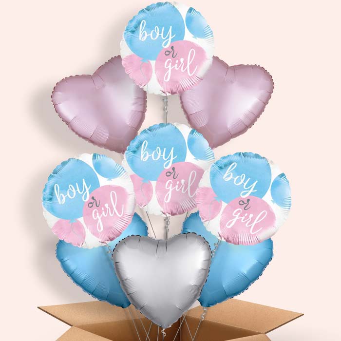 Boy or Girl Gender Reveal Balloons in a Box - 9 Balloon | Small Indoor Plants