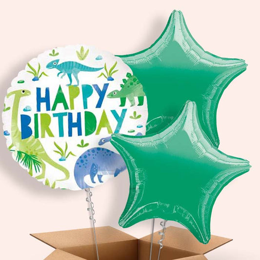 Helium Dinosaur Balloon in a Box - 3 Balloon | Small Indoor Plants