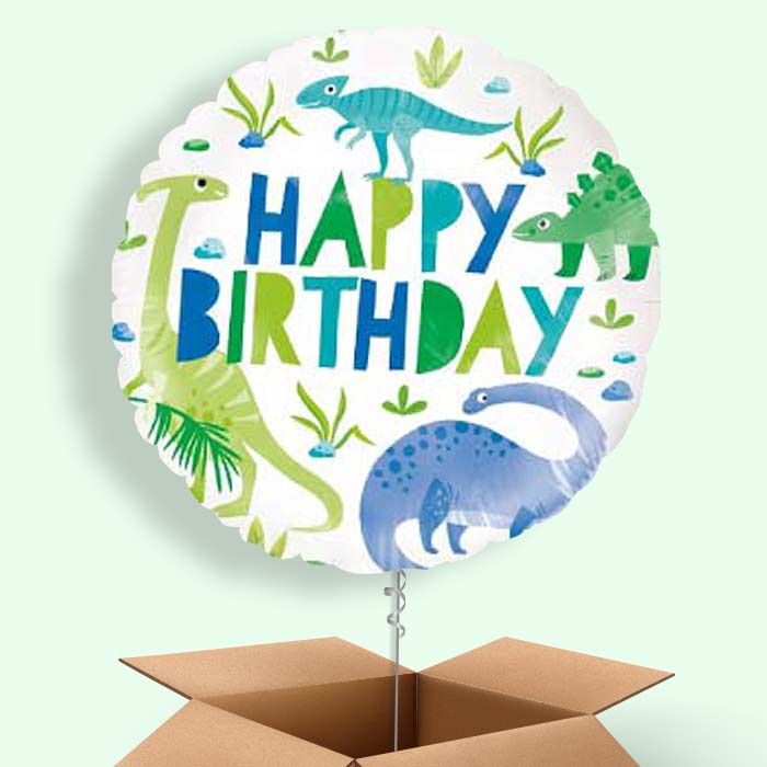 Helium Dinosaur Balloon in a Box - 1 Balloon | Small Indoor Plants