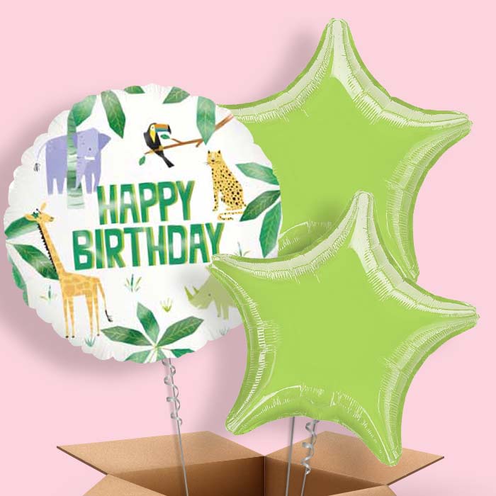 Animal Jungle Happy Birthday Balloon in a Box - 3 Balloon | Small Indoor Plants