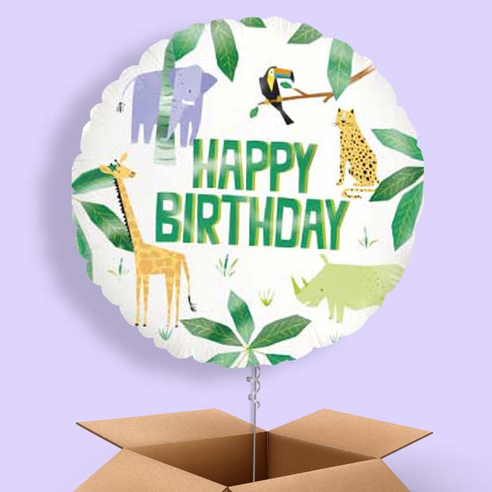 Animal Jungle Happy Birthday Balloon in a Box - 1 Balloon | Small Indoor Plants