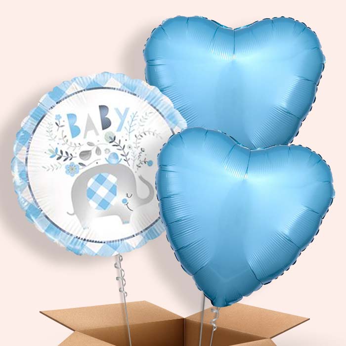 Blue Elephant Baby Shower Helium Balloons Delivered - 3 Balloon | Small Indoor Plants
