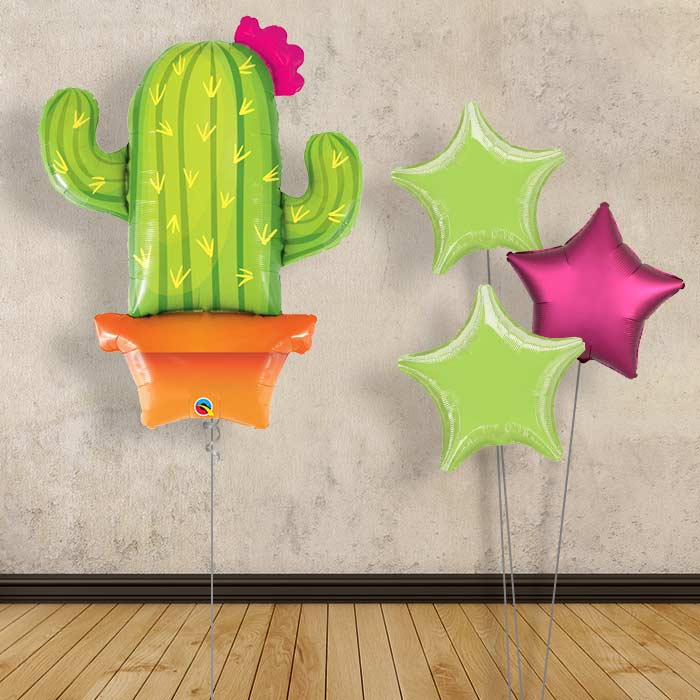 Cactus Balloon Bouquet in a Box - Plain Bouquet | Small Indoor Plants