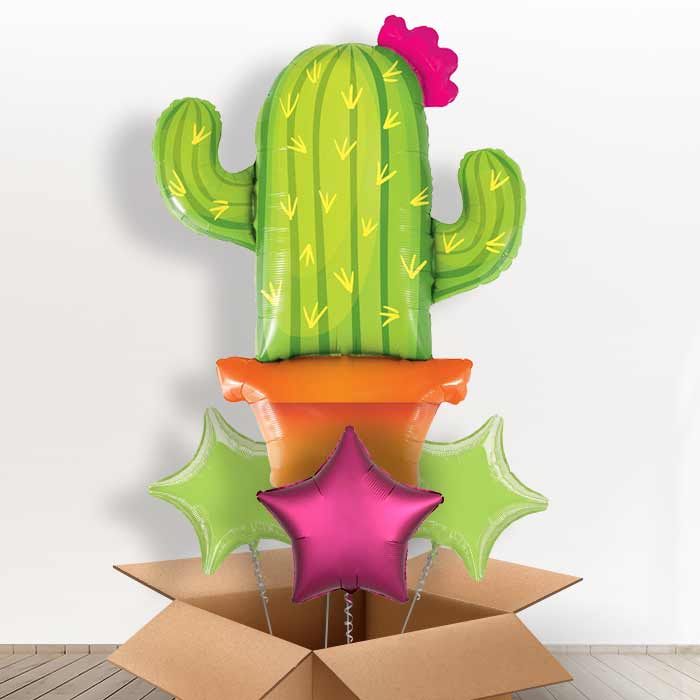 Cactus Potted Giant Balloon in a Box Gift - With 3 Plain Balloons | Small Indoor Plants