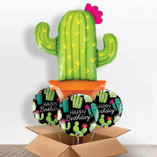 Cactus Potted Giant Balloon in a Box Gift - With 3 Themed Balloons | Small Indoor Plants