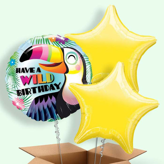 Have a Wild Birthday Toucan Balloons in a Box - 3 Balloon | Small Indoor Plants