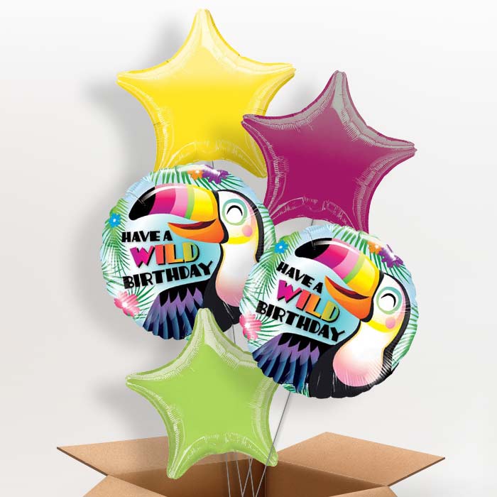 Have a Wild Birthday Toucan Balloons in a Box - 5 Balloon | Small Indoor Plants
