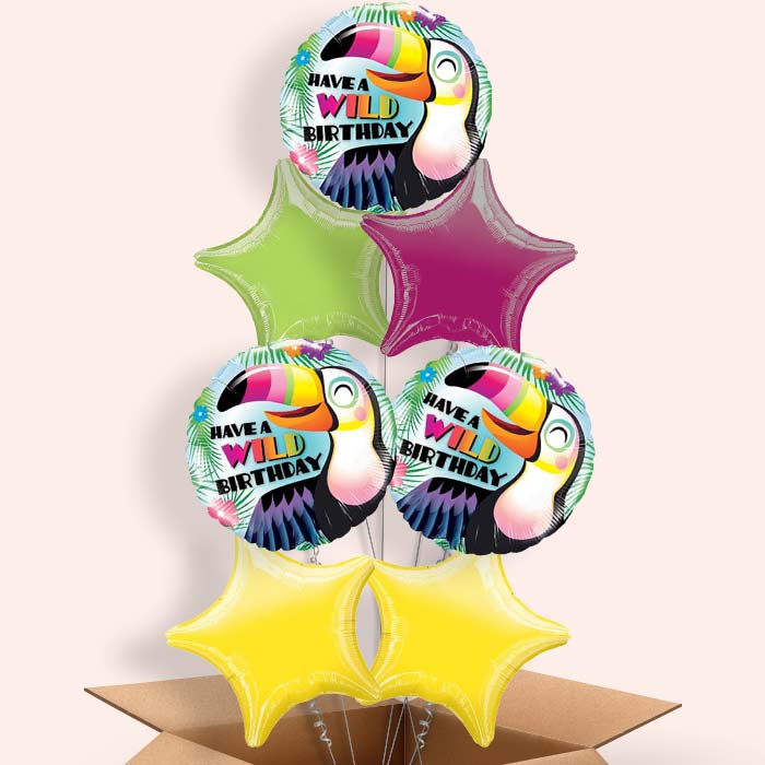 Have a Wild Birthday Toucan Balloons in a Box - 7 Balloon | Small Indoor Plants