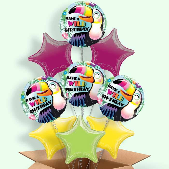 Have a Wild Birthday Toucan Balloons in a Box - 9 Balloon | Small Indoor Plants