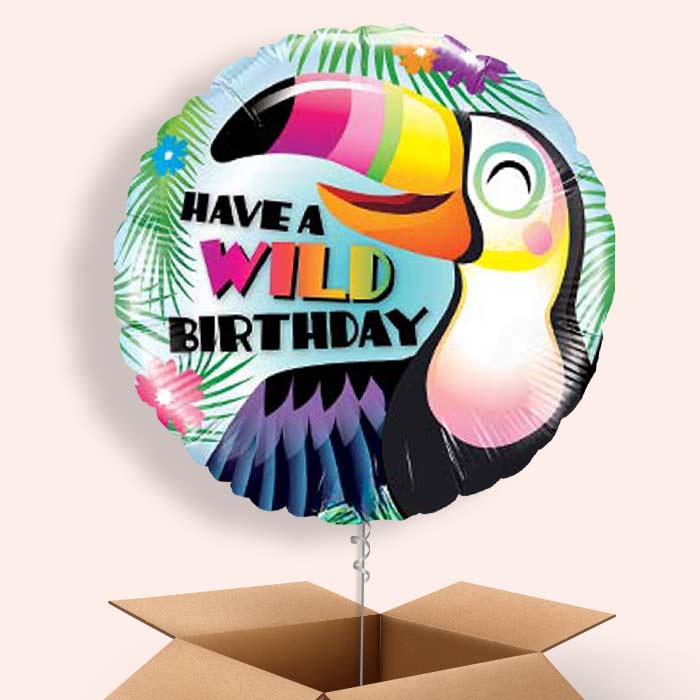 Have a Wild Birthday Toucan Balloons in a Box - 1 Balloon | Small Indoor Plants