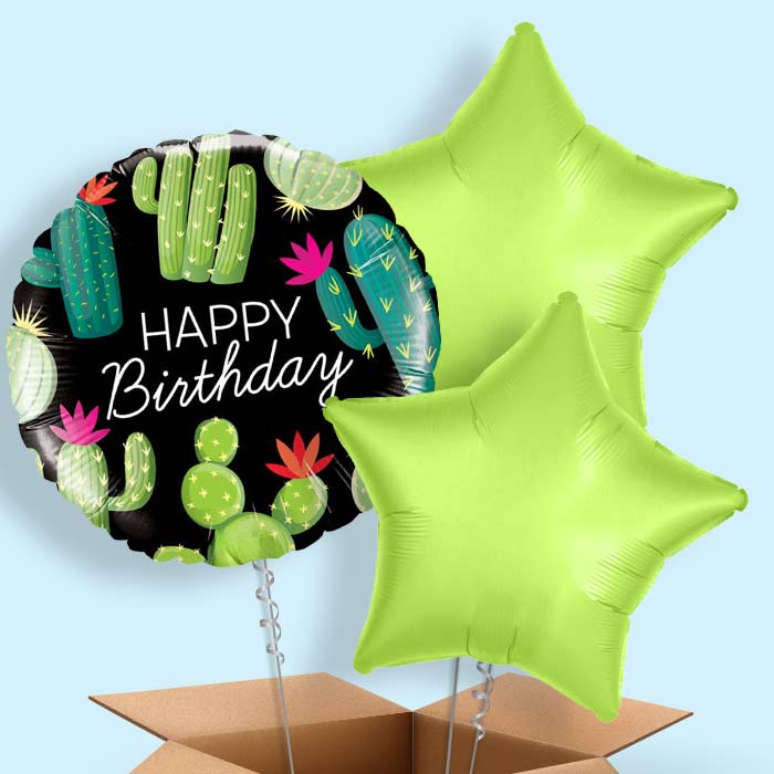 Cactus Happy Birthday (Black) Balloon in a Box - 3 Balloon | Small Indoor Plants