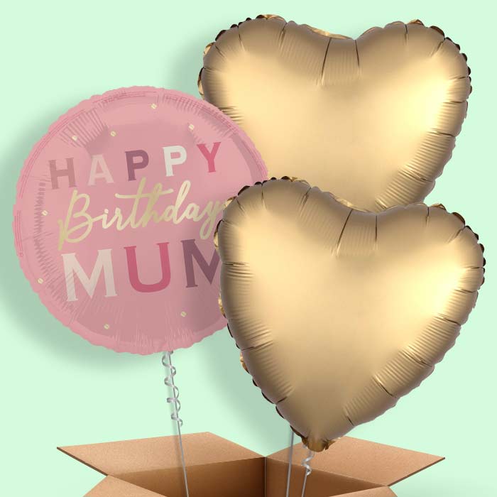 Pink and Gold Happy Birthday Mum Foil Balloon in a Box - 3 Balloon | Small Indoor Plants