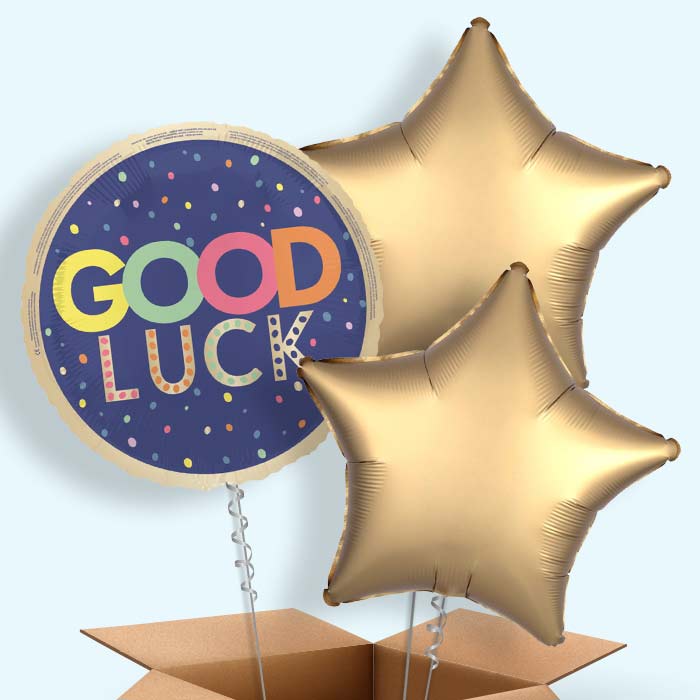 Good Luck Navy Blue Foil Balloon in a Box - 3 Balloon | Small Indoor Plants