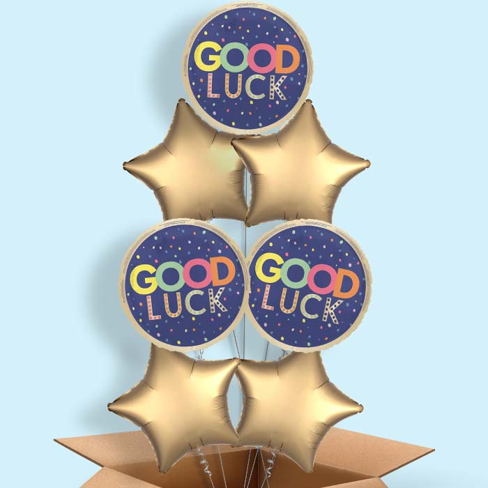 Good Luck Navy Blue Foil Balloon in a Box - 7 Balloon | Small Indoor Plants