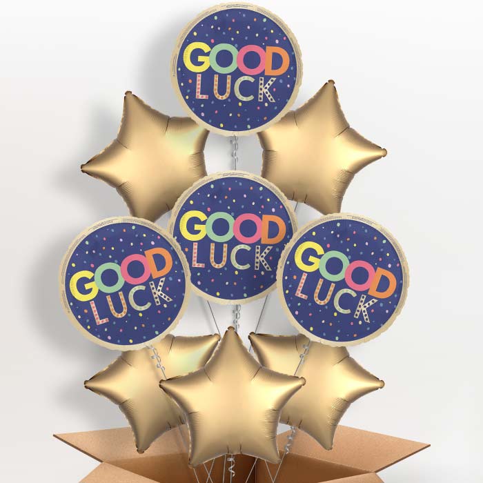 Good Luck Navy Blue Foil Balloon in a Box - 9 Balloon | Small Indoor Plants