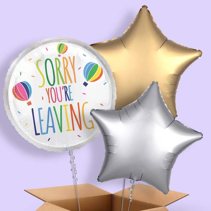 White Sorry You’re Leaving Foil Balloon in a Box - 3 Balloon | Small Indoor Plants
