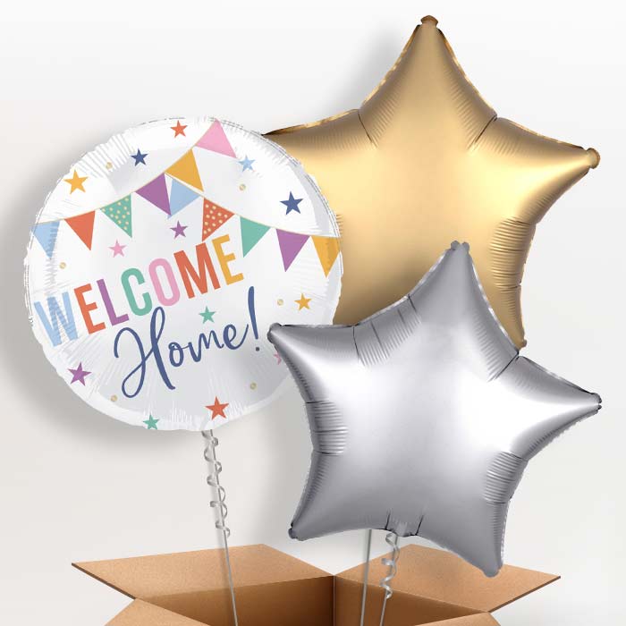Welcome Home Bunting Foil Balloon in a Box - 3 Balloon | Small Indoor Plants