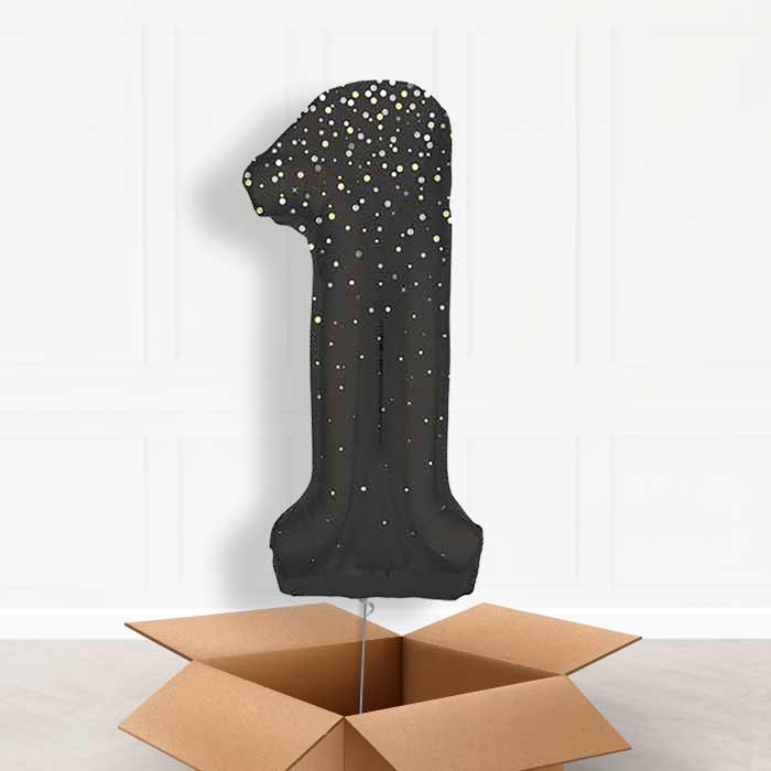 Black and Silver Dots Number 1 Balloon in a Box - Giant Number | Small Indoor Plants