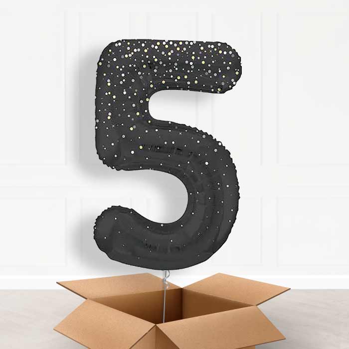 Black and Silver Dots Number 5 Balloon in a Box - Giant Number | Small Indoor Plants