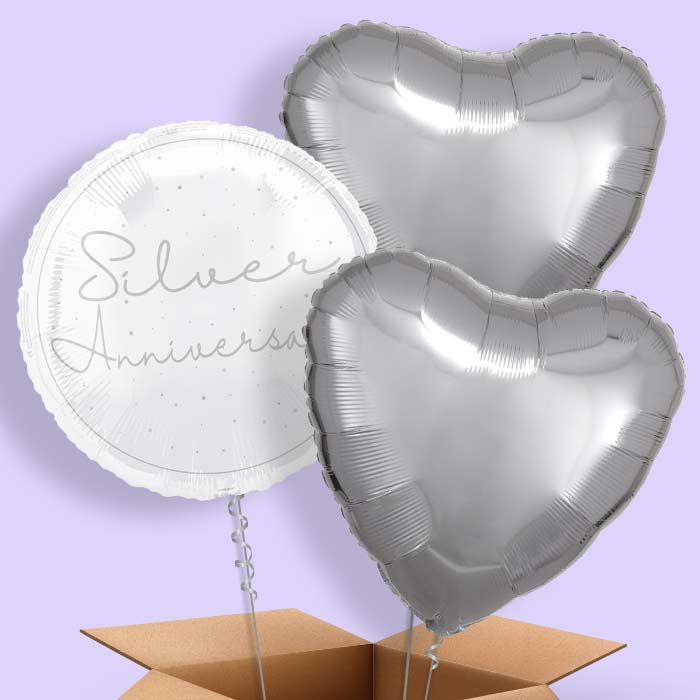 Silver Anniversary Foil Balloon in a Box - 3 Balloon | Small Indoor Plants