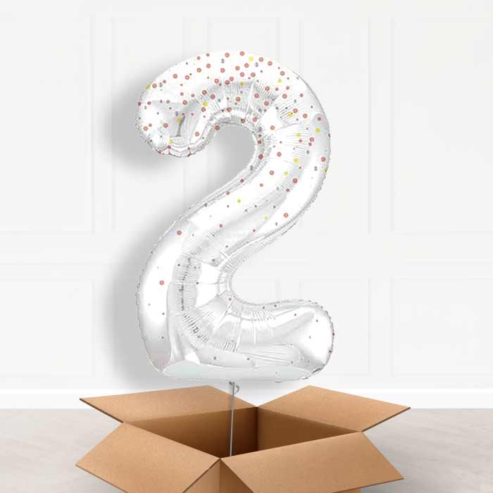 Rose Gold Dots Number 2 Balloon in a Box - Giant Number | Small Indoor Plants
