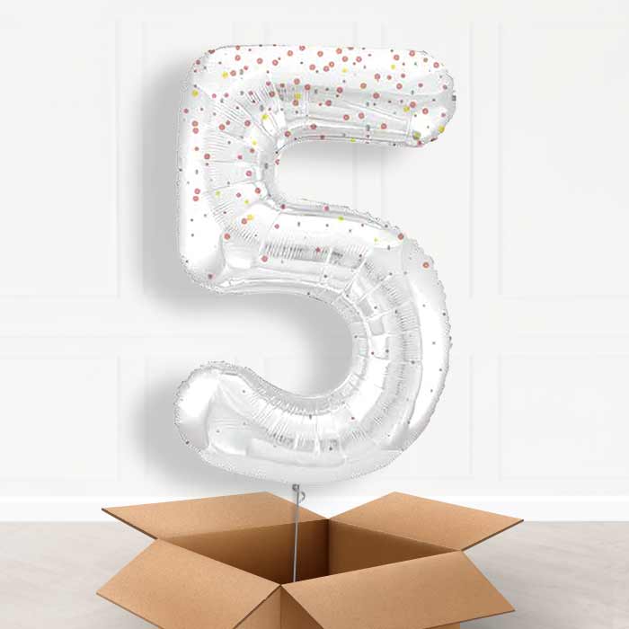 Rose Gold Dots Number 5 Balloon in a Box - Giant Number | Small Indoor Plants