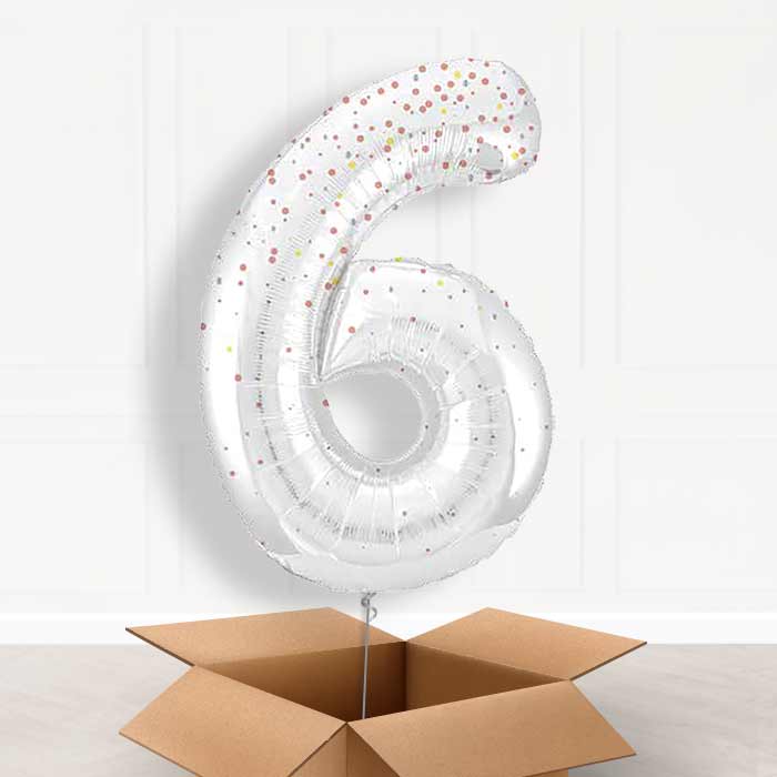 Rose Gold Dots Number 6 Balloon in a Box - Giant Number | Small Indoor Plants