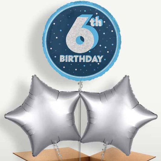Navy Blue & Silver 6th Birthday Balloon Bunches | Small Indoor Plants