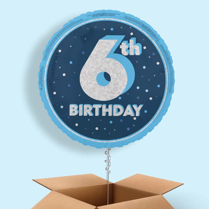 Navy Blue and Silver 6th Birthday Foil Balloon in a Box - 1 Balloon | Small Indoor Plants