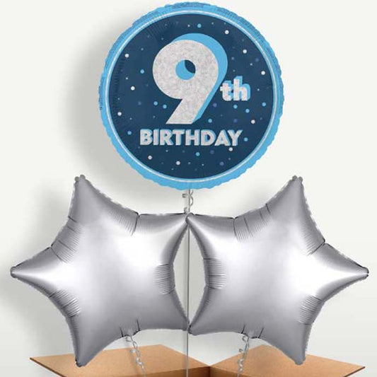 Navy Blue & Silver 9th Birthday Balloon Bunch | Small Indoor Plants