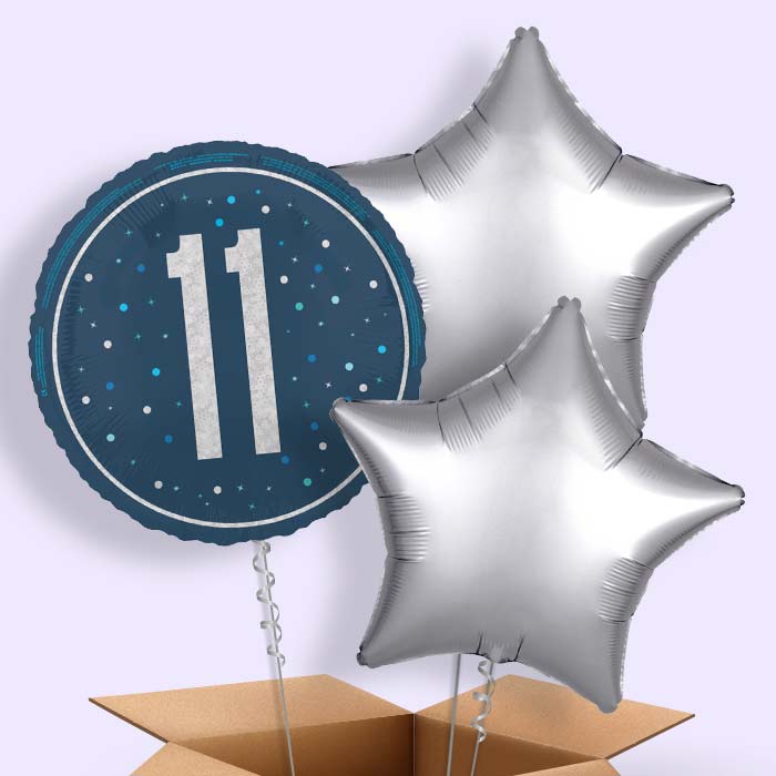Navy Blue and Silver 11th Birthday Foil Balloon in a Box - 3 Balloon | Small Indoor Plants