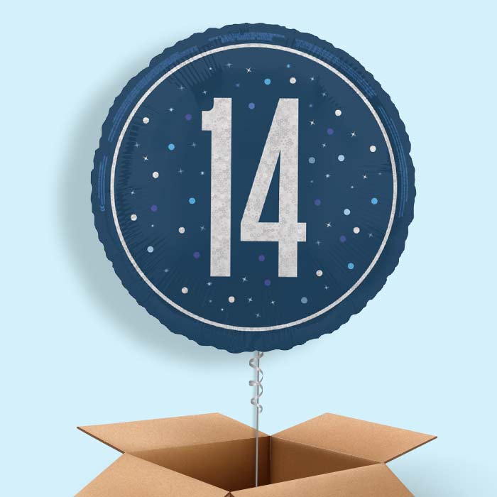 Navy Blue and Silver 14th Birthday Foil Balloon in a Box - 1 Balloon | Small Indoor Plants