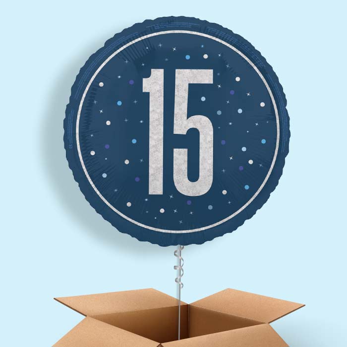 Navy Blue and Silver 15th Birthday Foil Balloon in a Box - 1 Balloon | Small Indoor Plants