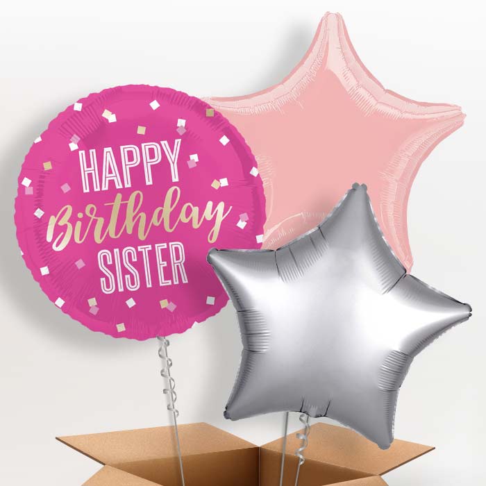 Hot Pink Happy Birthday Sister Foil Balloon in a Box - 3 Balloon | Small Indoor Plants