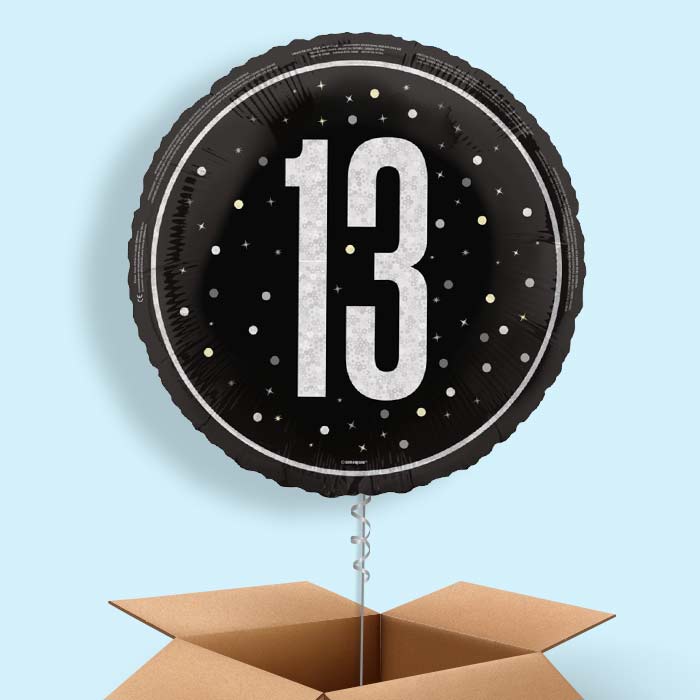 Black and Silver 13th Birthday Foil Balloon in a Box - 1 Balloon | Small Indoor Plants
